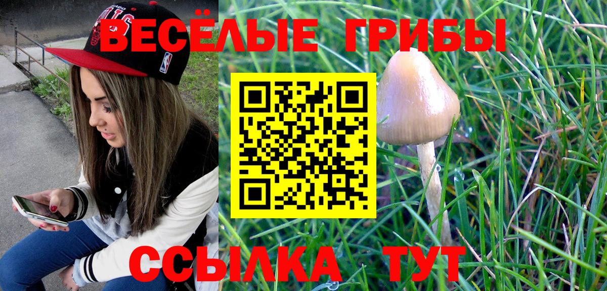 Галлюциногенные грибы прущие грибы  Вход с VPN  Уварово  Галлюциногенные грибы Magic Shrooms 